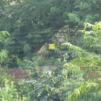 Electric Fence Systems - Residential / Home Security in Pakistan